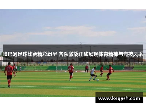 哈巴河足球比赛精彩纷呈 各队激战正酣展现体育精神与竞技风采