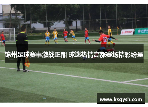 锦州足球赛事激战正酣 球迷热情高涨赛场精彩纷呈