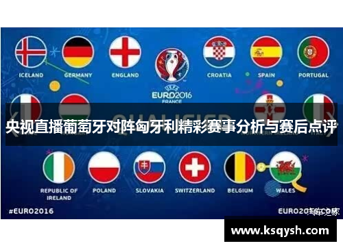 央视直播葡萄牙对阵匈牙利精彩赛事分析与赛后点评